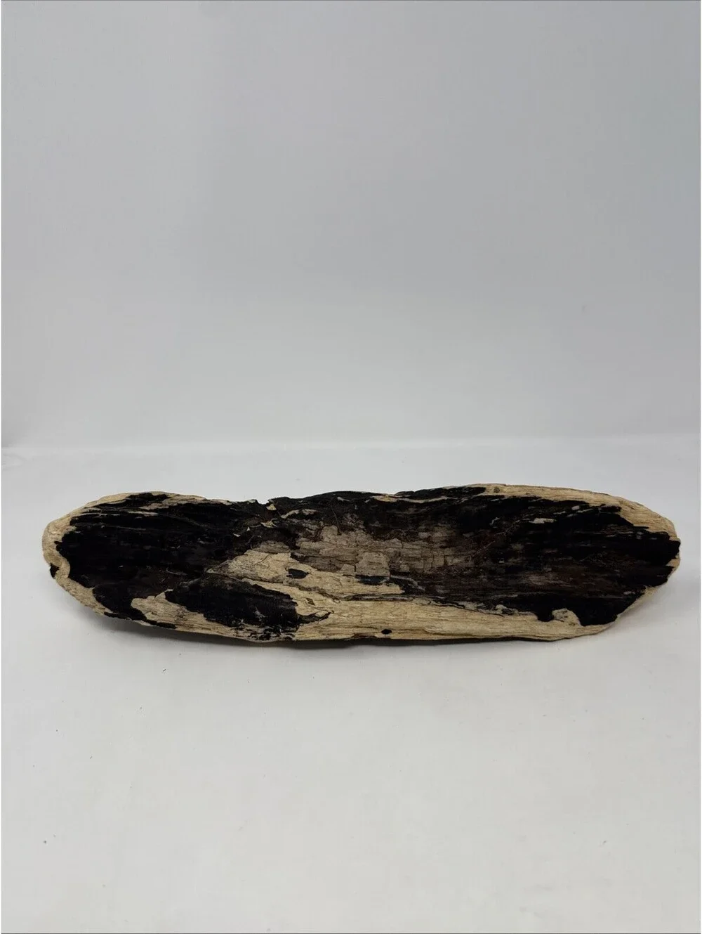 12 Inch driftwood freshwater terrarium aquarium crafts